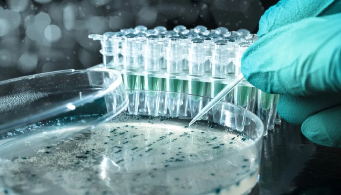 Comida Domicilio Quito Verduras Frutas Fruteria Fresco Quesos Carnes Cocteleria Restaurante Bar